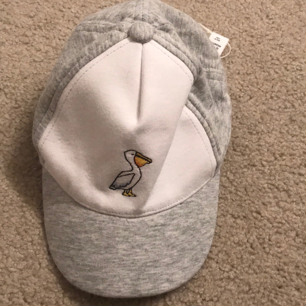Janie and jack hat